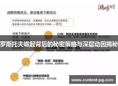 罗斯托夫崛起背后的秘密策略与深层动因揭秘 罗斯托夫崛起背后的秘密策略与深层动因揭秘