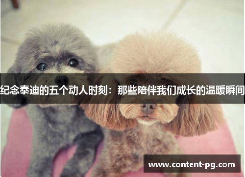 纪念泰迪的五个动人时刻:那些陪伴我们成长的温暖瞬间 纪念泰迪的五个动人时刻:那些陪伴我们成长的温暖瞬间