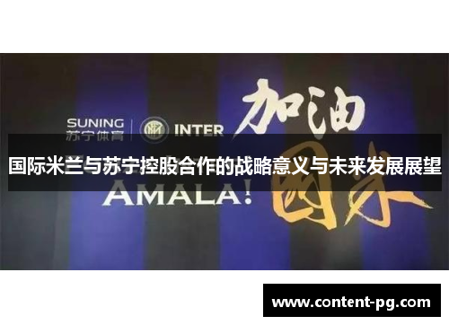 国际米兰与苏宁控股合作的战略意义与未来发展展望 国际米兰与苏宁控股合作的战略意义与未来发展展望