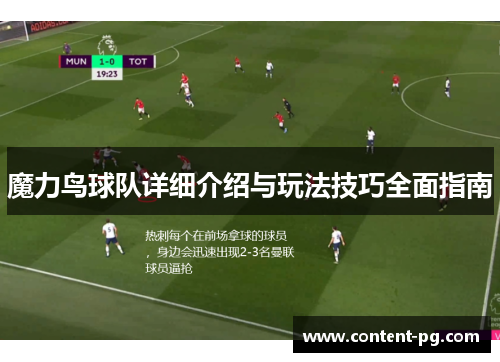 魔力鸟球队详细介绍与玩法技巧全面指南