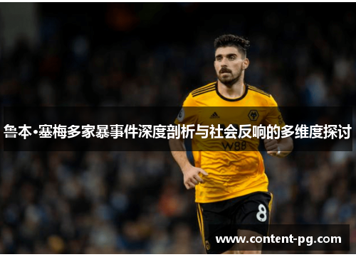 鲁本·塞梅多家暴事件深度剖析与社会反响的多维度探讨