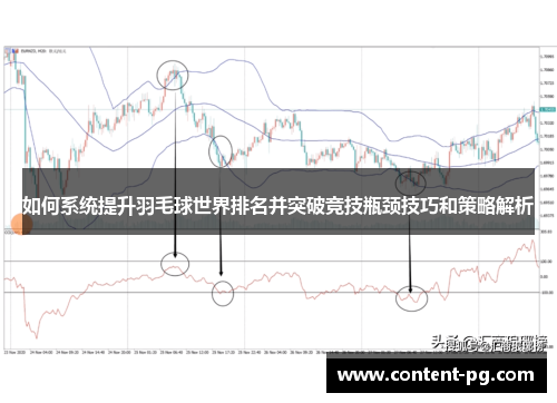 如何系统提升羽毛球世界排名并突破竞技瓶颈技巧和策略解析