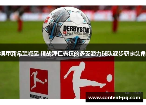 德甲新希望崛起 挑战拜仁霸权的多支潜力球队逐步崭露头角