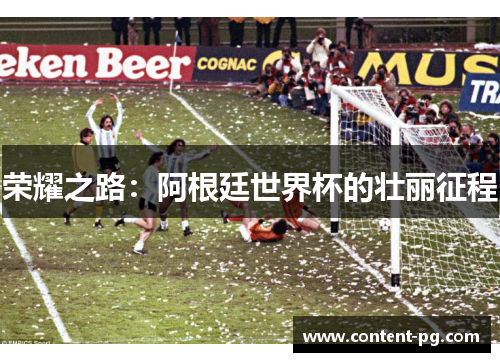 荣耀之路：阿根廷世界杯的壮丽征程