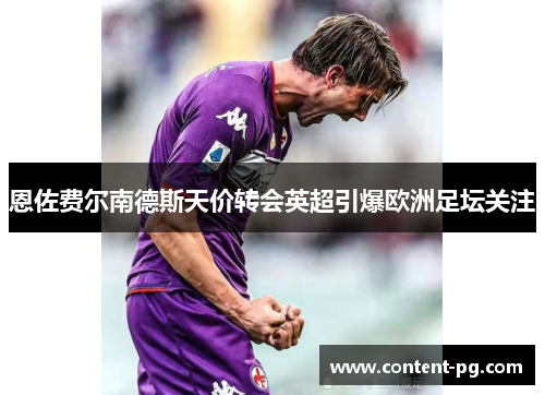 恩佐费尔南德斯天价转会英超引爆欧洲足坛关注