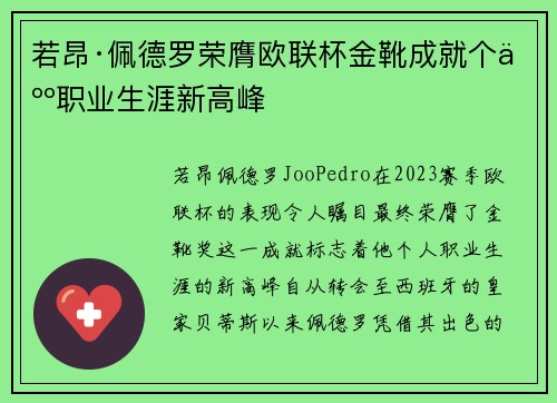 若昂·佩德罗荣膺欧联杯金靴成就个人职业生涯新高峰
