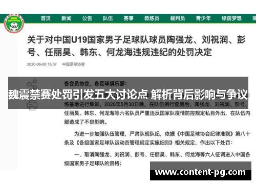 魏震禁赛处罚引发五大讨论点 解析背后影响与争议 魏震禁赛处罚引发五大讨论点 解析背后影响与争议